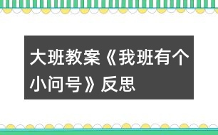 大班教案《我班有個小問號》反思