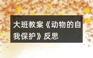 大班教案《動物的自我保護(hù)》反思
