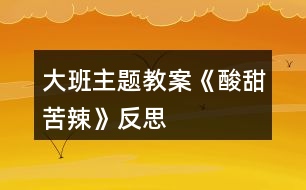 大班主題教案《酸甜苦辣》反思