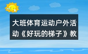 大班體育運(yùn)動(dòng)戶外活動(dòng)《好玩的梯子》教案反思