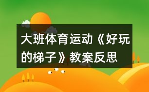 大班體育運(yùn)動(dòng)《好玩的梯子》教案反思