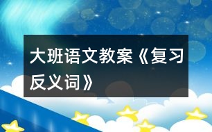 大班語文教案《復習反義詞》