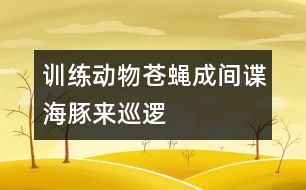 訓練動物蒼蠅成間諜海豚來巡邏