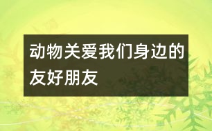 動物：關(guān)愛我們身邊的友好朋友