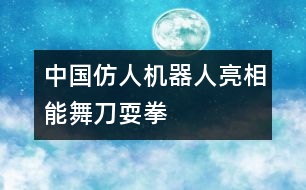 中國(guó)仿人機(jī)器人亮相能舞刀耍拳