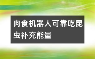 肉食機(jī)器人可靠吃昆蟲補(bǔ)充能量