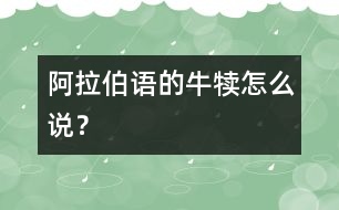 阿拉伯語的牛犢怎么說？